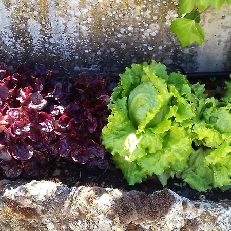 Hotel Molino De La Vega