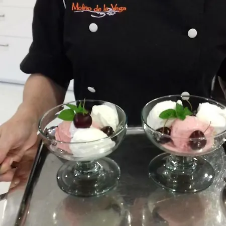 Hotel Molino De La Vega 3*