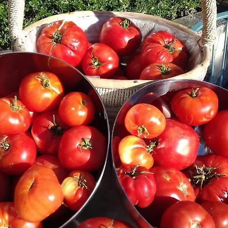 Molino De La Vega Arcos de la Llana